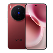 VIVO X300