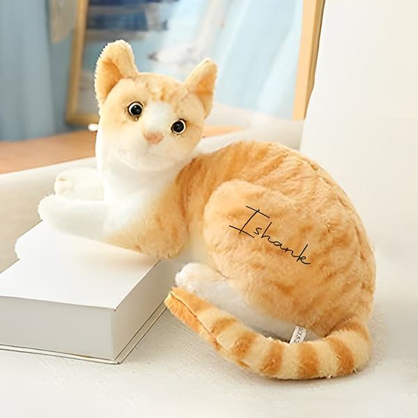 Buy Brown Customized Cat Soft Toy for Kids yourPrint